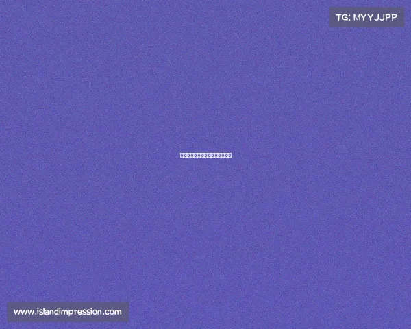 格斗类电子竞技项目电竞格斗玩家